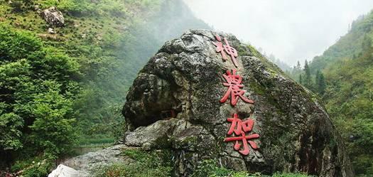 遇到这样也不行那样也不行的领导怎么办？